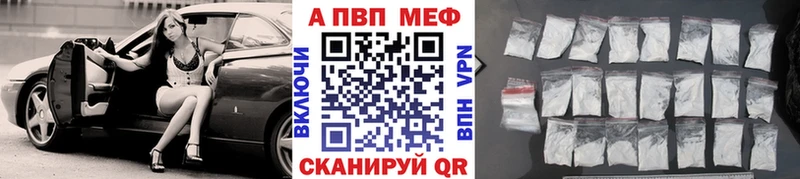Альфа ПВП СК  Цоци-Юрт 