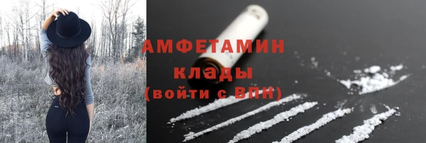 ПСИЛОЦИБИНОВЫЕ ГРИБЫ Новозыбков