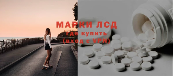 ПСИЛОЦИБИНОВЫЕ ГРИБЫ Новозыбков