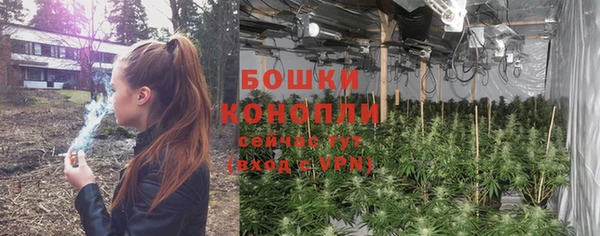 каннабис Новодвинск