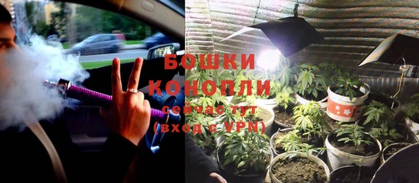 каннабис Новодвинск