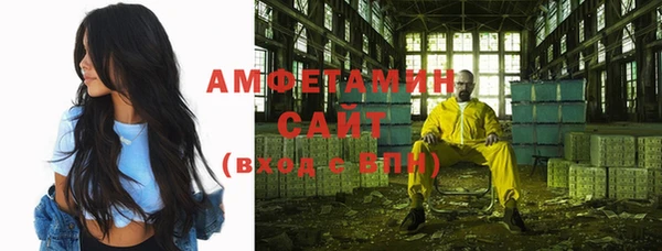 ПСИЛОЦИБИНОВЫЕ ГРИБЫ Новозыбков