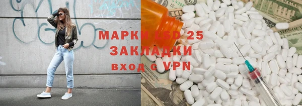 ПСИЛОЦИБИНОВЫЕ ГРИБЫ Новозыбков