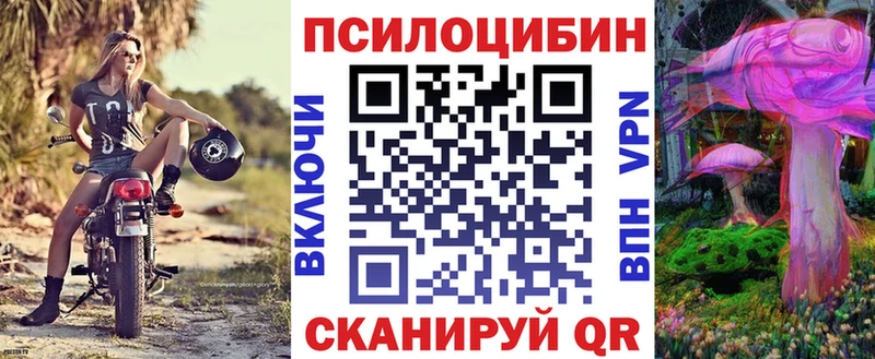 Псилоцибиновые грибы мухоморы  дарнет шоп  Цоци-Юрт 